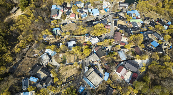 산수유,골목,지붕,주택,현천마을,산동면,구례군,전남