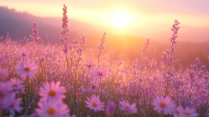 Obraz premium Pink flowers sunrise field; magical, serene.