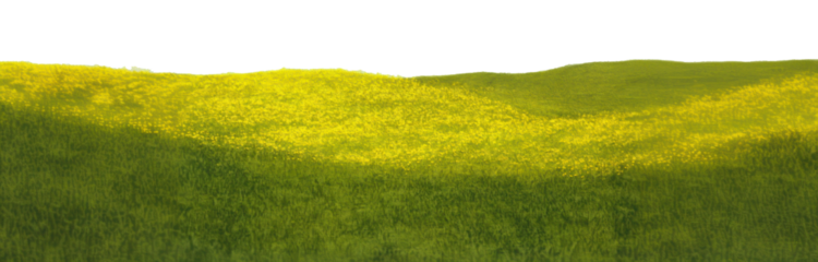 PNG Spring flower hills background landscape nature.