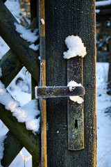 Frozen Door in Winter