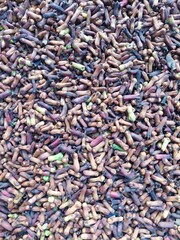 Dry cloves texture image, close up and detailed, for material and background. Set 2