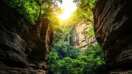 Majestic Sunlight Filtering Through Rocky Canyon Walls, Illuminating Lush Green Foliage and Creating a Serene Atmosphere in a Pristine Natural Landscape