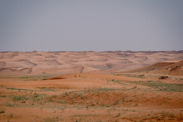 Landscape of the Arabian Desert and Dunes in Saudi Arabia. 