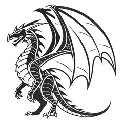 dragon outline, vector, transparent background