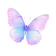Obraz premium Butterfly with striking pattern on wings on transparent background in retro style.