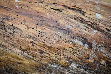 wood texture brown natural background colors