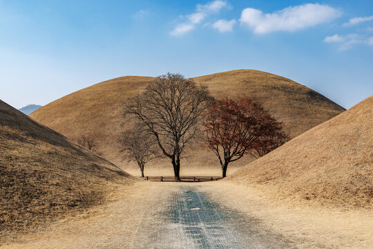 Scenery of Daereungwon with tombs of historical kings in Gyeongju, Korea