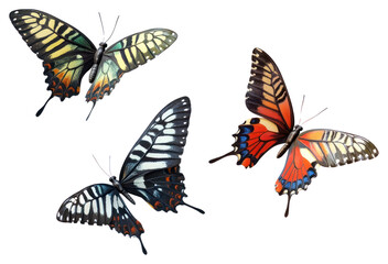 PNG Butterflies flying butterfly background insect.