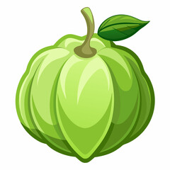 Chayote vector illustration white background