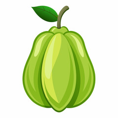Chayote vector illustration white background
