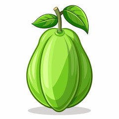 Chayote vector illustration white background