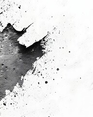 Black Ink Splashes on White, Abstract Art
