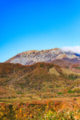 秋の大山