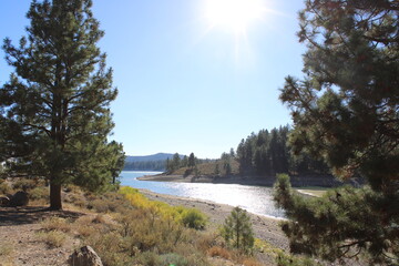 river in the forest in Truckee city