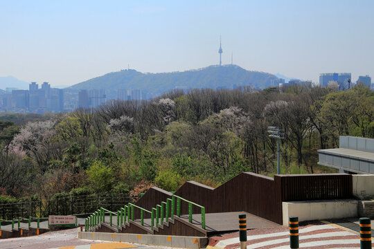 도로,계단,난간,나무,N서울타워,남산,성균관대학교,종로구,서울