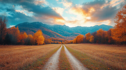 A serene autumn landscape in a retro Italian rural setting, with a dirt road leading through golden fields under a cloudy sky, minimalistic and modern with a bright, blurred, empty space for captions
