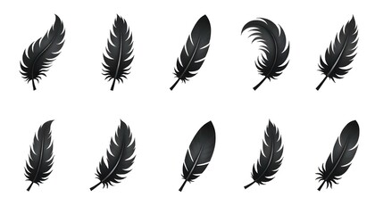 A set of black feather icons featuring various shapes and styles, ranging from simple and sleek silhouettes to detailed and textured designs, isolated on a plain background for clarity and versatility
