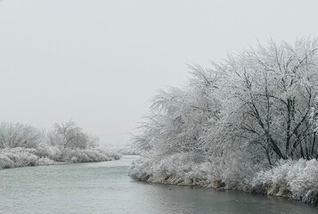 River and frozen trees