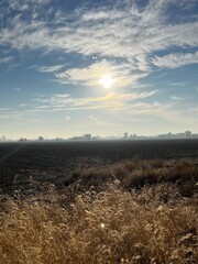 Farm field mid morning