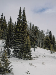 Snowboarder on the slopes