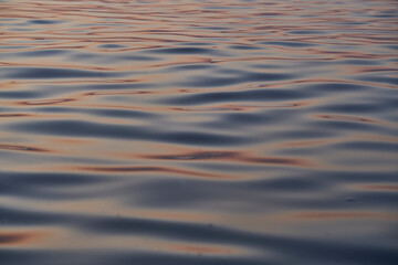 光と水が織りなす模様