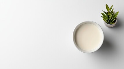 Creamy Milk in a White Bowl Next to a Small Potted Plant on a Clean Surface, Ideal for Food Photography and Minimalist Aesthetic in Contemporary Settings
