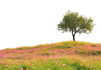 PNG Hilly spring fields landscape scenery flowers.