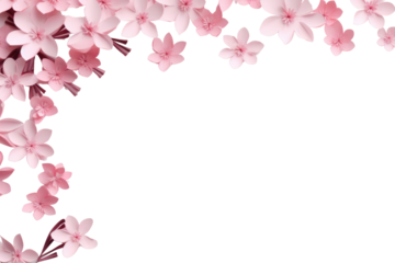 PNG Sakura flower backgrounds blossom.