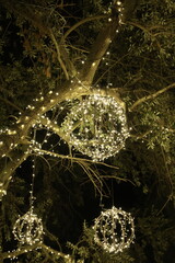 Christmas lights in tree