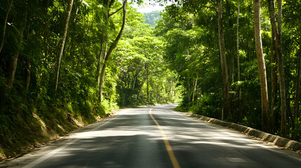 Winding road through lush green tropical forest, sunlight dappling the asphalt, ideal for travel and adventure backgrounds
