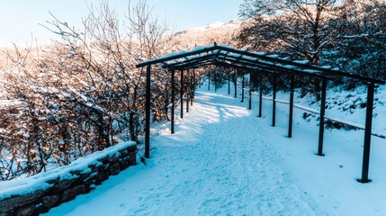Snowy Winter Pathway  Snow Covered Trees  Winter Wonderland Scene  Christmas Background