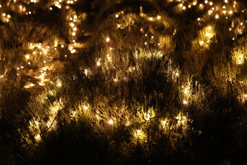 Naklejka premium Christmas lights