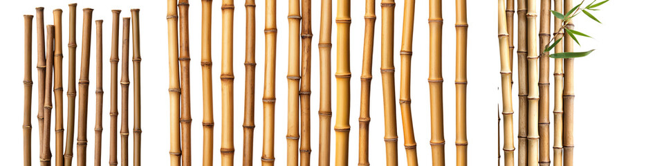 Closeup of a dense bamboo forest grove with natural green bamboo stems and stalks arranged in a...