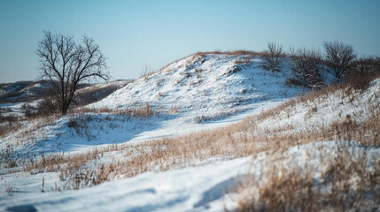 Snow-covered hills and bare trees under a clear sky in winter landscape