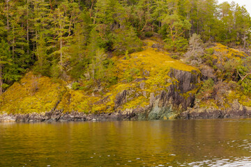 Landscape Along The River