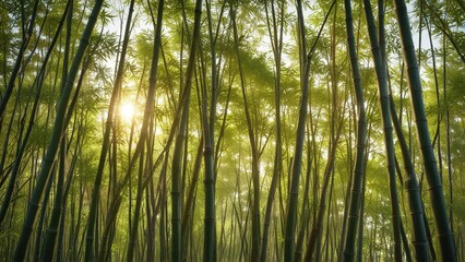 Obraz premium Bamboo stalks swaying in the wind with sunlight filtering through , plant life, foliage