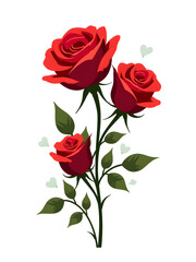 Red roses isolated on white background.