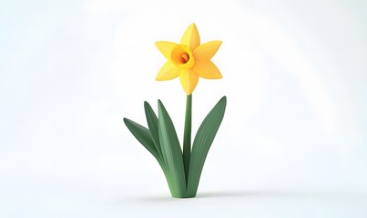Yellow daffodil spring bloom, studio shot, white background, greeting card