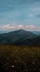 Fototapeta premium Serene Mountain Meadow Landscape Wildflowers Peaks and Sky