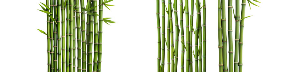 Tranquil Bamboo Grove   Minimalist Zen Landscape of Lush Green Foliage