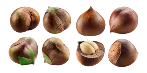 Fresh Chestnuts, PNG set collection, isolated on transparent background