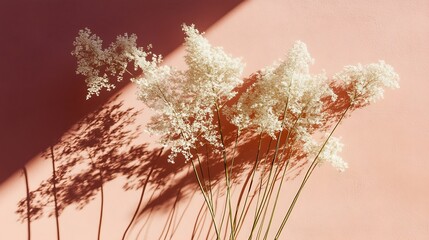 Obraz premium Dried Flowers Cast Shadows on a Peach Wall