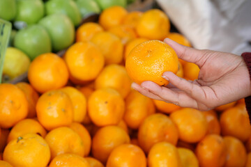 Select fresh, juicy oranges at the market that are vibrant and tasty