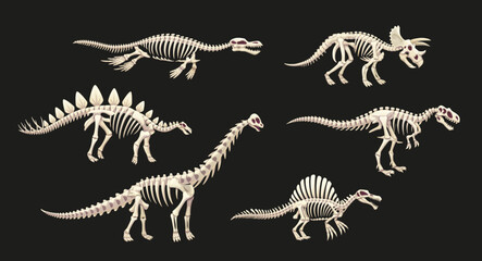 Dinosaur skeleton fossil of Jurassic lizards and prehistoric reptiles, cartoon vector. Prehistoric dinosaur skeletons fossil icons for kids dino atlas or paleontology museum and encyclopedia book © Vector Tradition