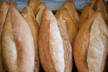 Freshly Baked Crispy and Delicious Baguettes Displayed in a Bakery