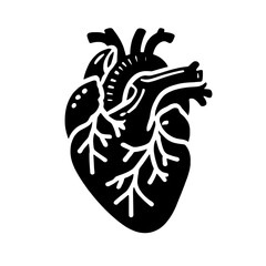 Anatomical Heart Illustration: A detailed, anatomical illustration of a human heart in black and white. Its intricate veins and chambers are meticulously rendered.