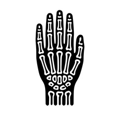 Skeleton Hand:  A bold, minimalist hand skeleton illustration, rendered in black, provides a striking visual representation of anatomy and human form.
