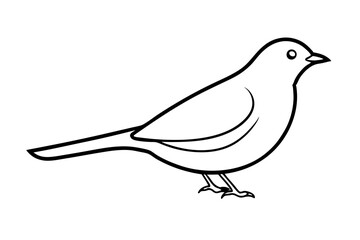 Bird Silhouette in Line Art Style for Ornithology Studies and Illustrations (SVG)