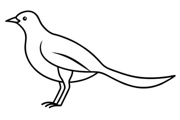 Bird Silhouette in Line Art Style for Ornithology Studies and Illustrations (SVG)