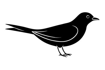 Minimalist Bird Silhouette in Line Art Style for Ornithology and Wildlife Design (SVG)